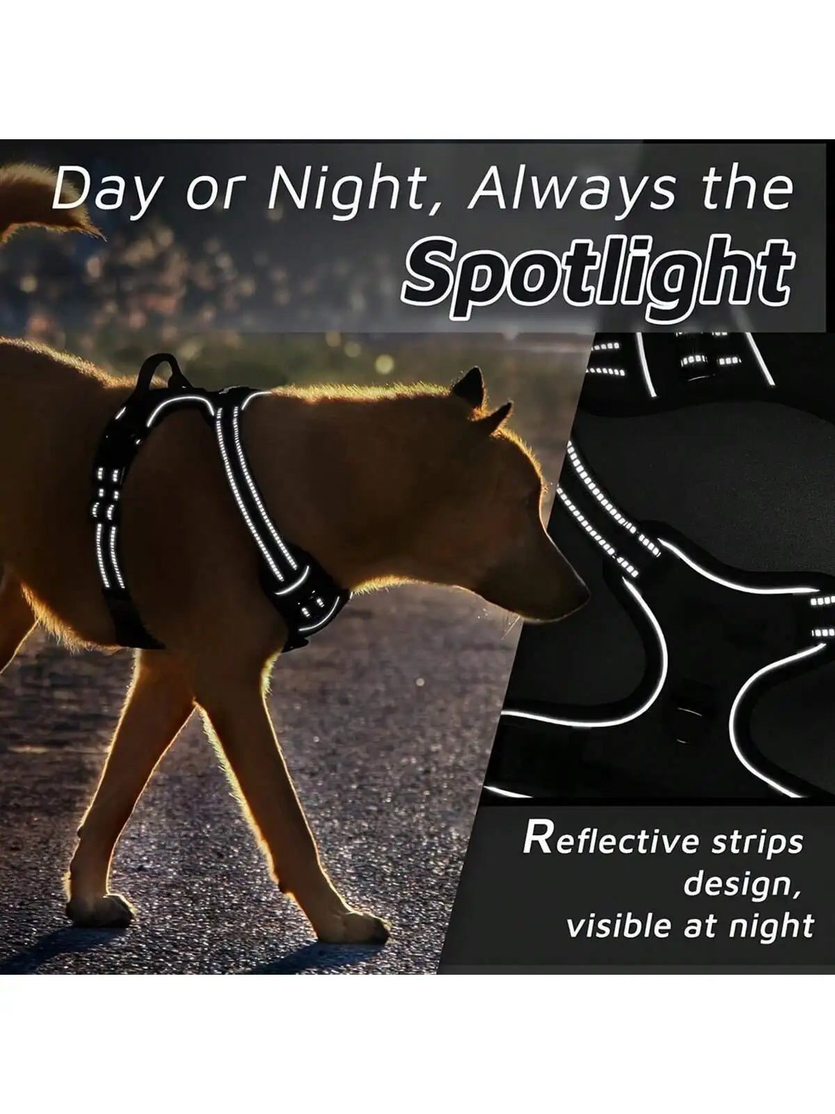 2pcs Reflective Dog Harness And Leash