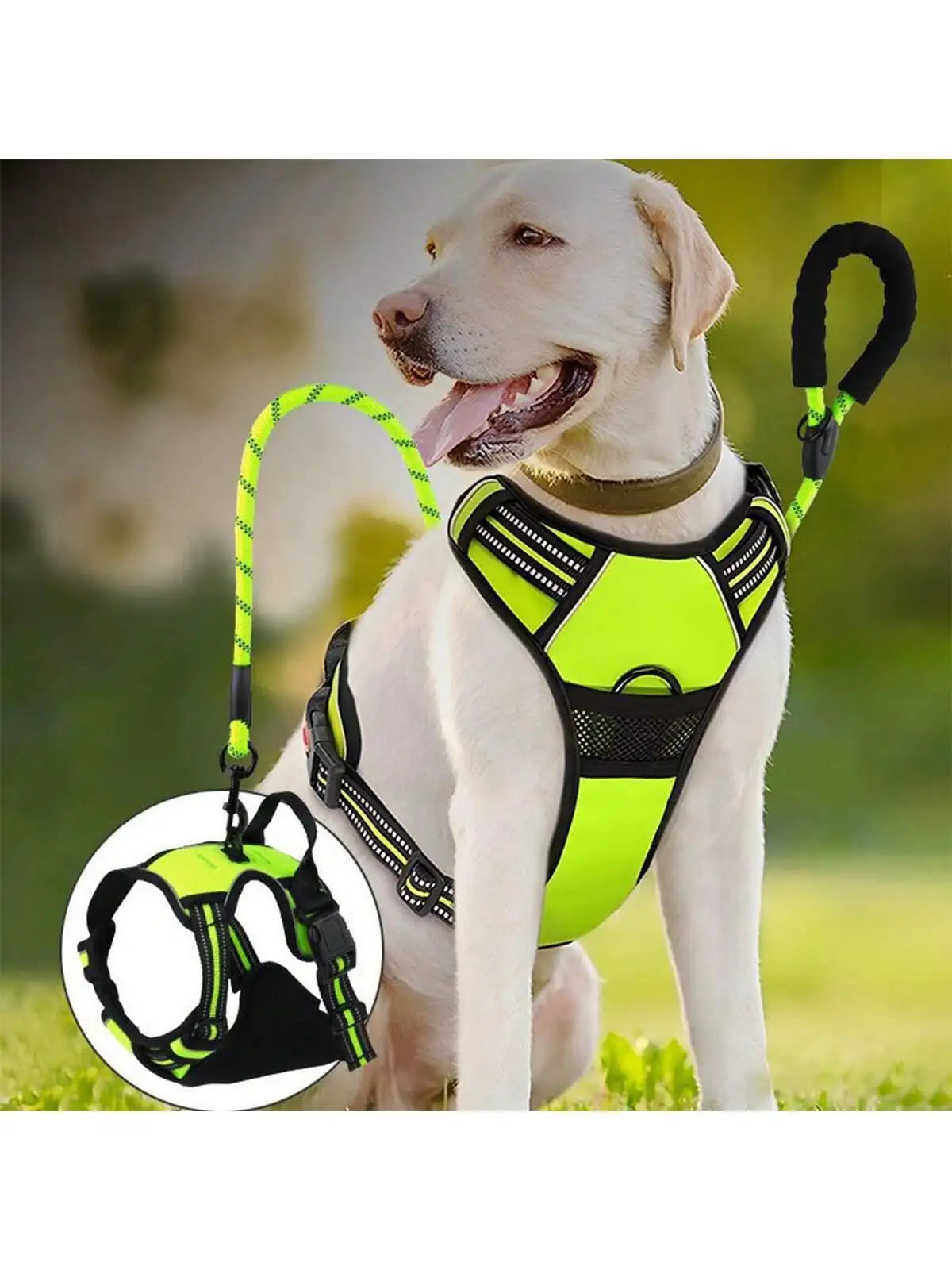 2pcs Reflective Dog Harness And Leash