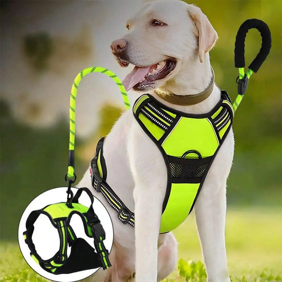 2pcs Reflective Dog Harness And Leash